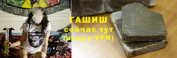 хмурый Аркадак