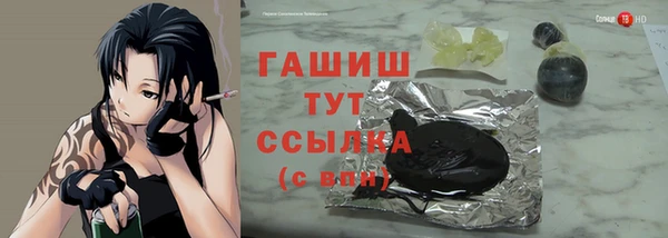 хмурый Аркадак