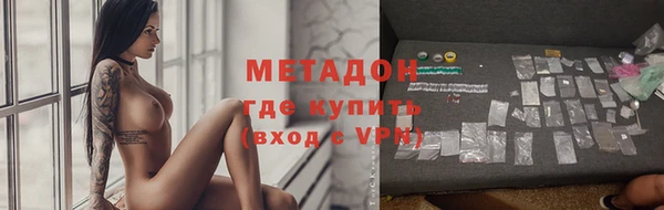 хмурый Аркадак