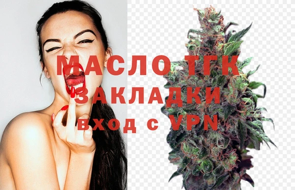хмурый Аркадак