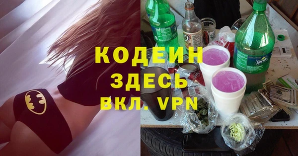индика Слюдянка
