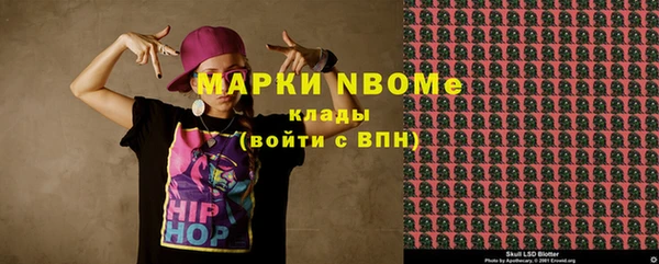 хмурый Аркадак
