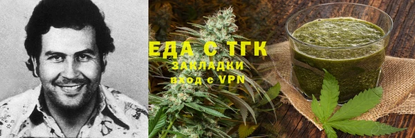 хмурый Аркадак