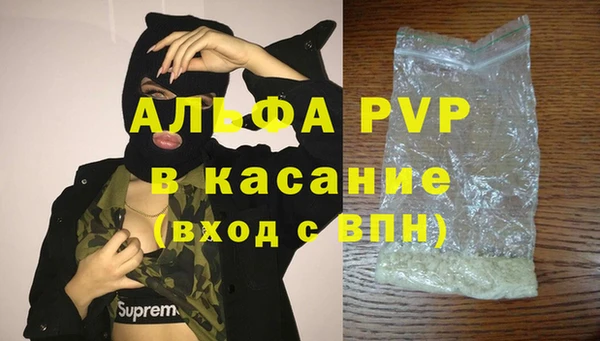 хмурый Аркадак