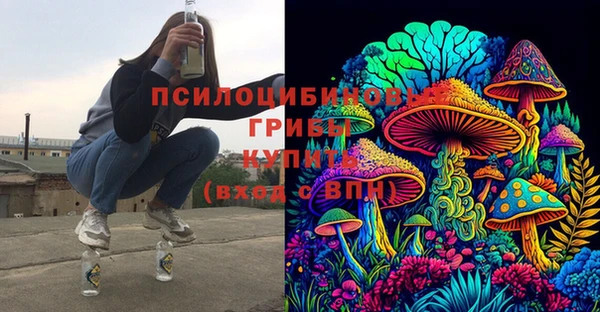 тгк Снежинск
