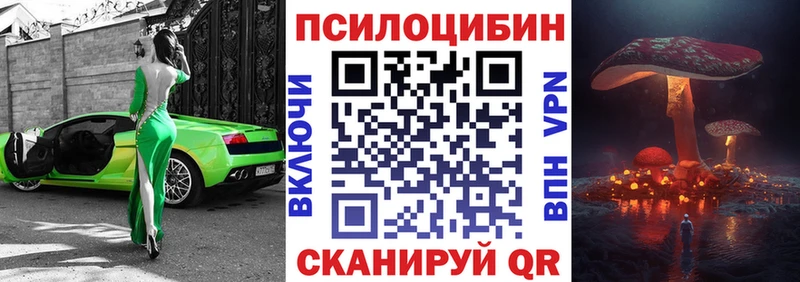 наркотики  Кирово-Чепецк  Галлюциногенные грибы Cubensis 